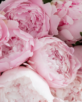 Bien Portada | Inspirado en Carolina Herrera Good Girl Blush