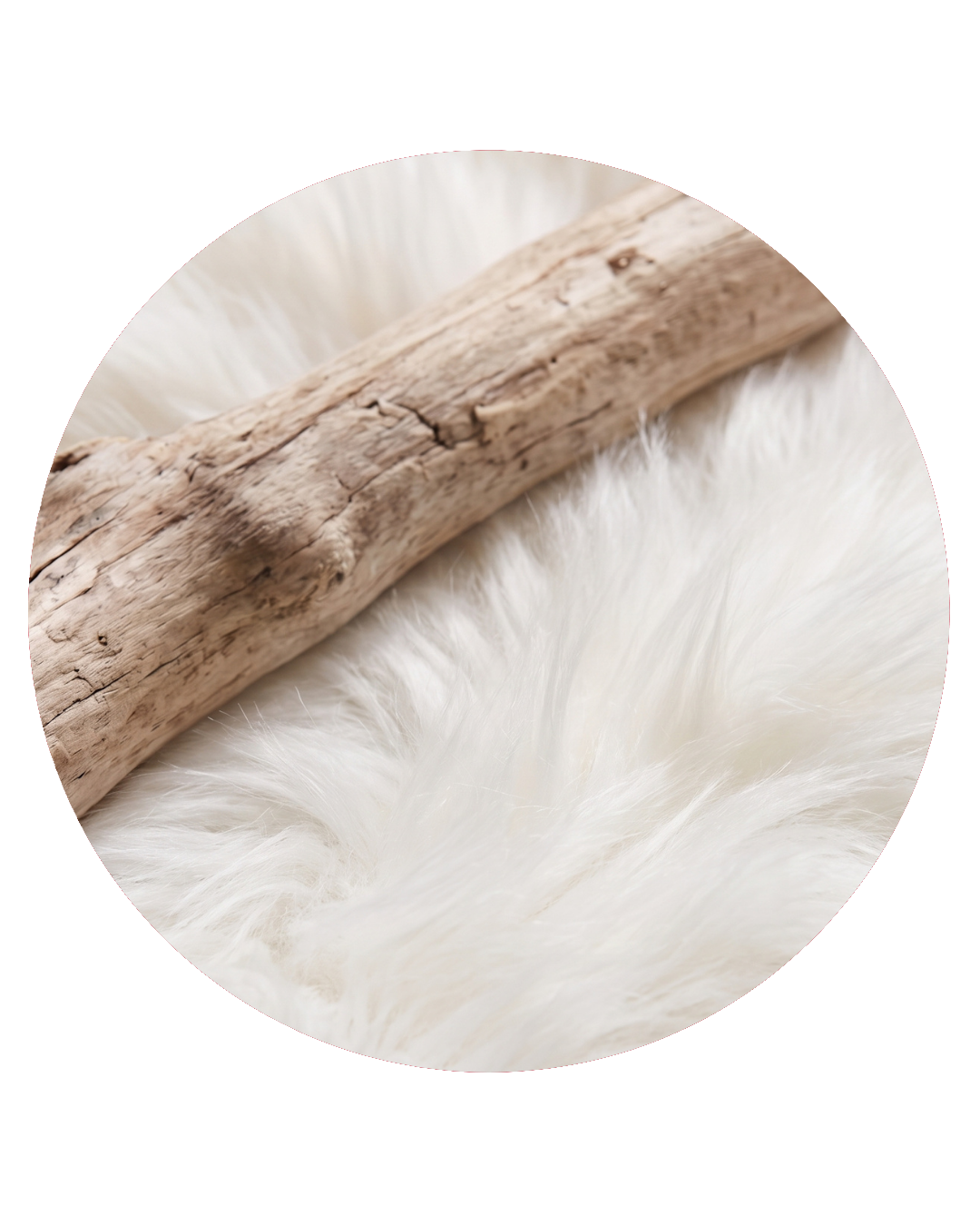 Cashmeran — Almizcle Amaderado Especiado | Materia Prima de Perfumería | 1gr
