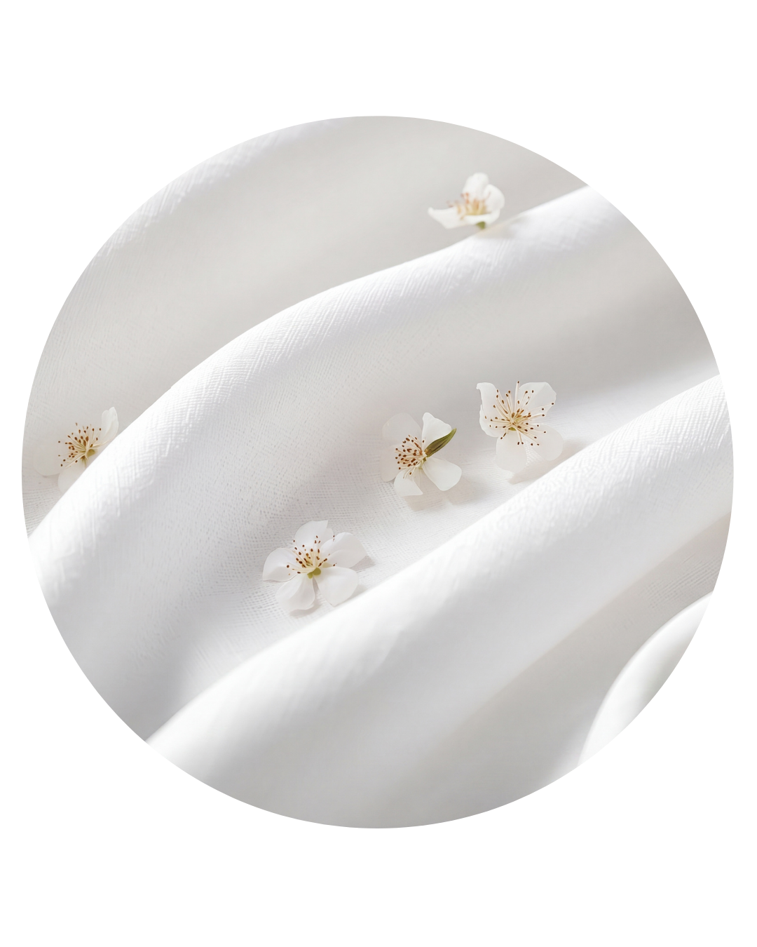 Habanolide — Almizcle Blanco Metálico | Materia Prima de Perfumería