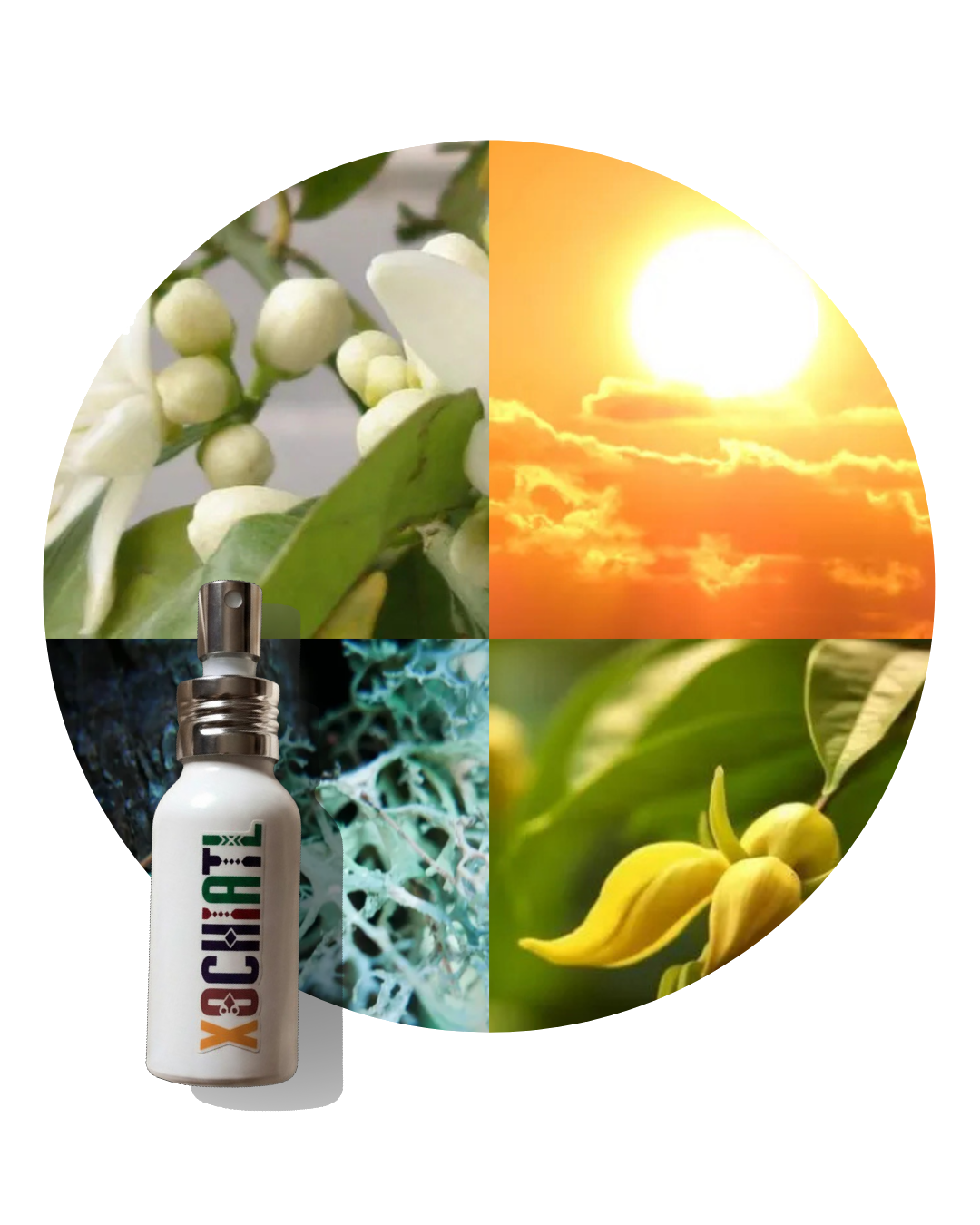 Diosa Solar | Inspirado en Olympéa Solar Rabanne