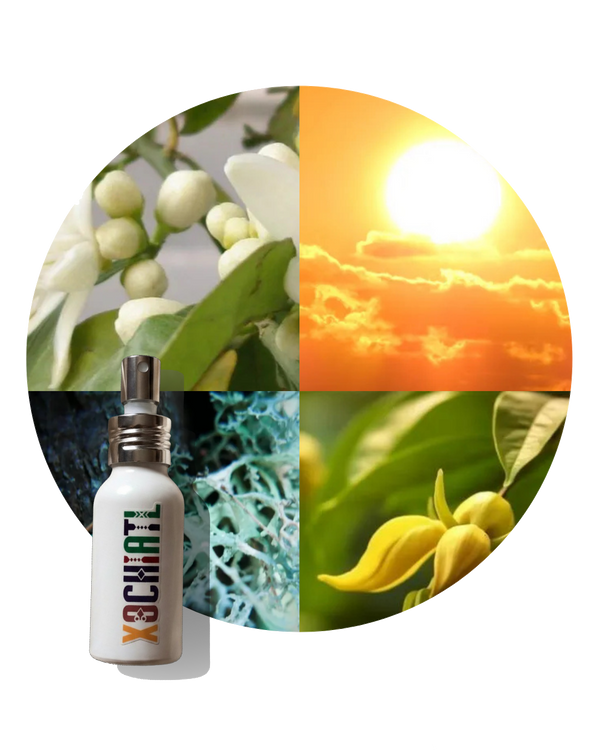 Diosa Solar | Perfume Inspirado en Olympéa Solar Rabanne | 100ml | Mujer