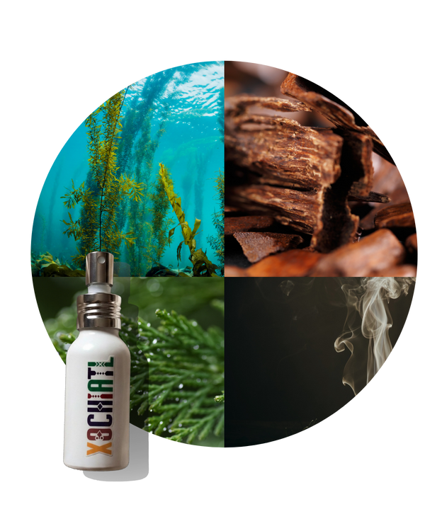Costa Azul | Perfume Inspirado en Costa Azzurra Tom Ford | Unisex