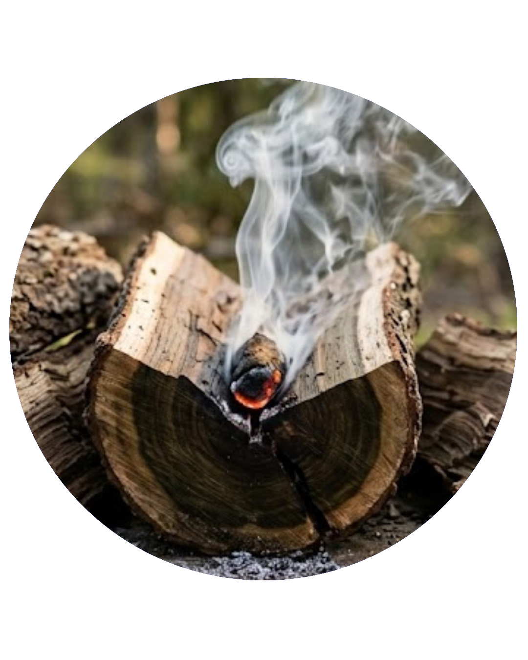 Guaiacol — Ahumado Fenólico Especiado | Materia Prima de Perfumería