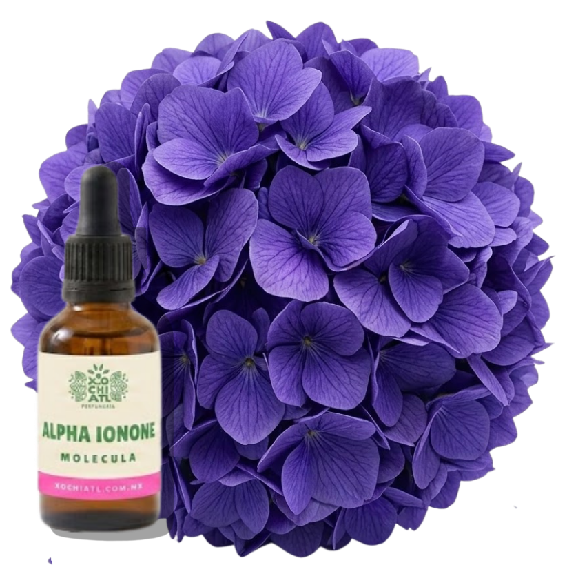 Alpha Ionone — Iris Violeta Balsamico