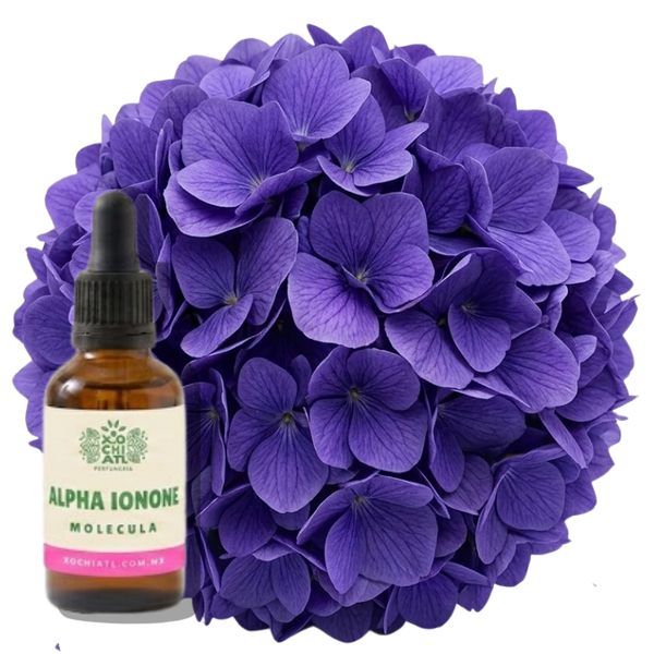 Alpha Ionone — Iris Violeta Balsamico