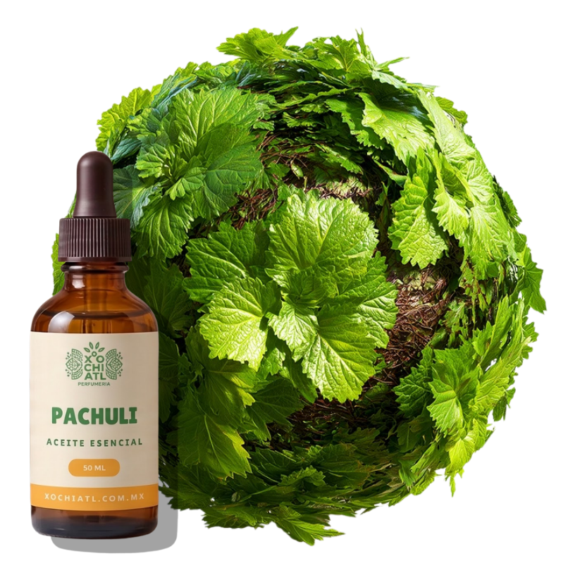 Pachulí Aceite Esencial 50 ml | 10% | Terroso, Amaderado |