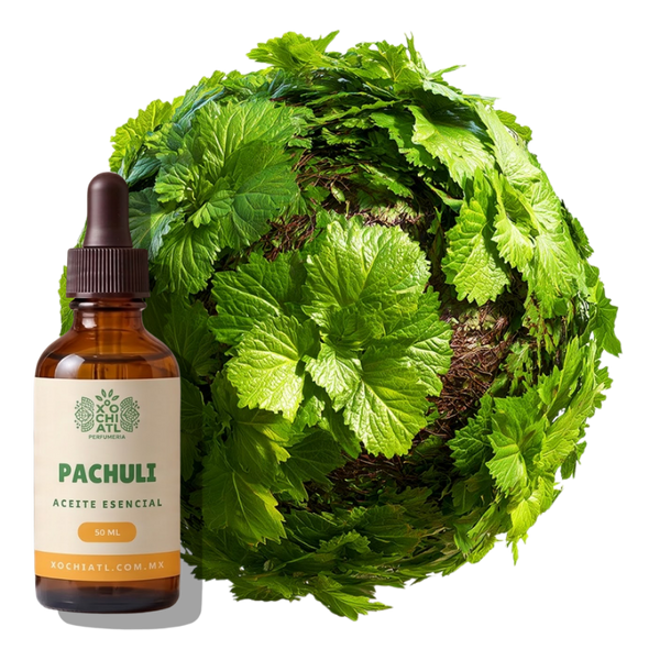 Pachulí Aceite Esencial 50 ml | 10% | Terroso, Amaderado |