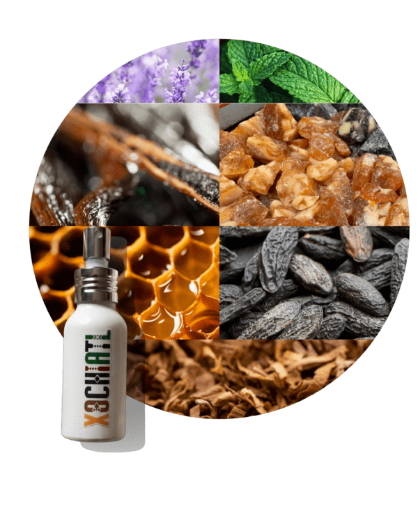 El Hombre Dorado | Inspirado en Le Male Elixir JPG