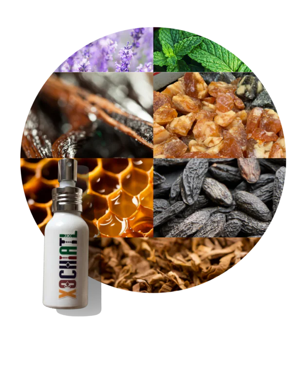 El Hombre Dorado | Inspirado en Le Male Elixir JPG